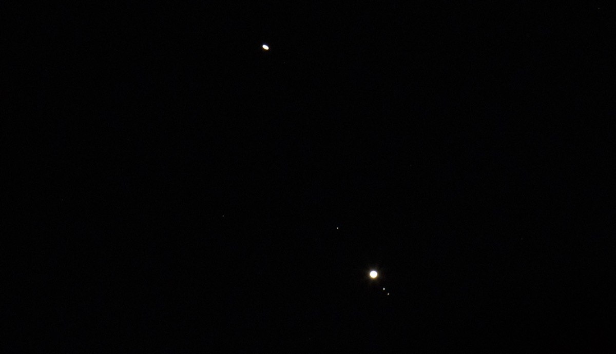 Jupiter and Saturn as two brilliant points almost touching, low in a deep-blue twilight sky over a dark tree line — the December 2020 great conjunction.