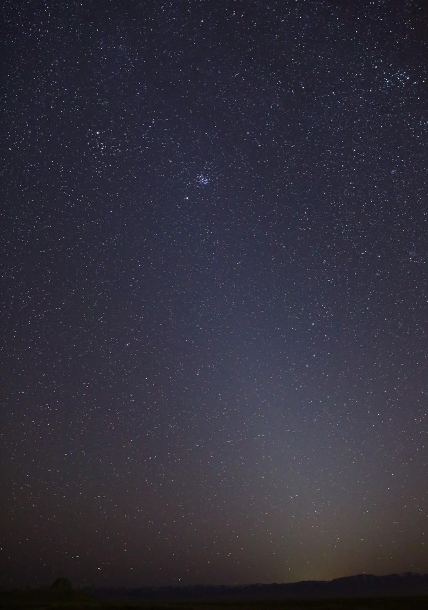A faint, tilted cone of pale light — the zodiacal light — rising from the horizon through a dark starry sky, with the Pleiades star cluster near its top.